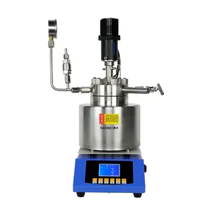 Lab High Pressure Autoclave Reactor with Stirrer for Chemical