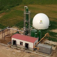 Déchets de fumier de vache pour produire du biogaz via un mini-digesteur domestique