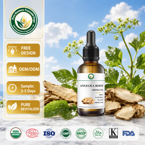 Absolue de racine d'angélique de qualité supérieure (Angelica Archangelica) certifiée naturelle, arôme épicé, conformité mondiale pour la parfumerie - Product Image 2