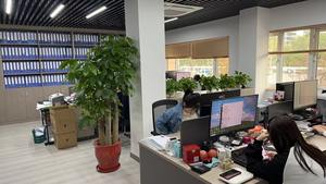 وكيل شحن محترف من الصين إلى الفلبين من قوانغتشو إلى مانيلا + شحن سريع رخيص شحن سريع إلى مانيلا - Product Image 2