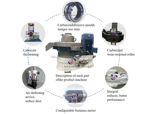 <span class=keywords><strong>Pellettatrice</strong></span> ad anello per biomassa e segatura, per uso agricolo e <span class=keywords><strong>industriale</strong></span>, ad alta produzione, con motore - Product Image 5