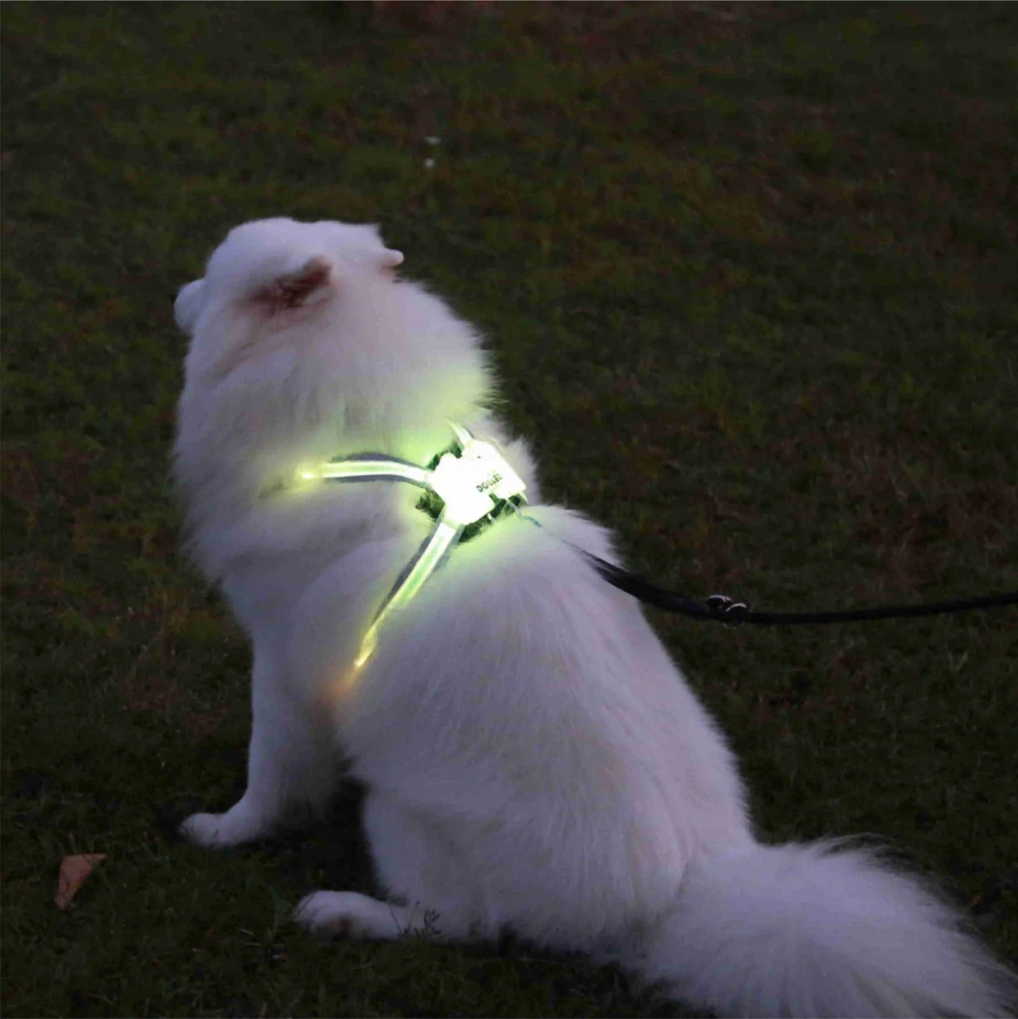 Светодиодный поводок для собак мягкий свет Регулируемый Собака Щенок поводок для питомца собаки жгут жилет