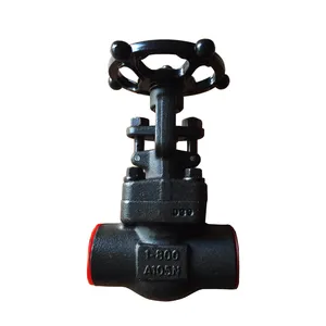 API 602 A105 2500lb acier forgé F22 plein alésage 65mm Globe Valve Wafer Type papillon clapet anti-retour