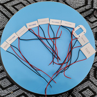 Module de refroidissement thermoélectrique Peltier Tec1-12704 de haute qualité et fiable, 40*40mm