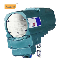 Palan pneumatique pneumatique palan électrique nouveau fusil palan chaîne élingue Portable acier 2019 produit chaud 0.25ton ~ 10 tonnes KOOD