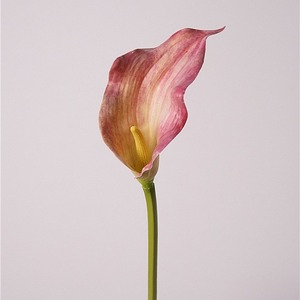 Grandes fleurs artificielles réalistes de 39 pouces à longue tige, Calla Lily, <span class=keywords><strong>Arum</strong></span> Lilies, pour <span class=keywords><strong>la</strong></span> décoration de <span class=keywords><strong>la</strong></span> maison, de <span class=keywords><strong>la</strong></span> cuisine, des mariages, des fêtes et des bureaux - Product Image 3
