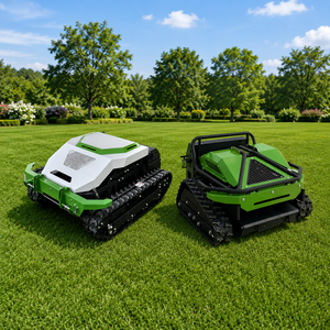 Cortadora de césped robótica a gasolina para todo terreno, miniexcavadora RC, cortadora de maleza para granjas, huertos y paisajismo, con envío gratuito. - Product Image 1