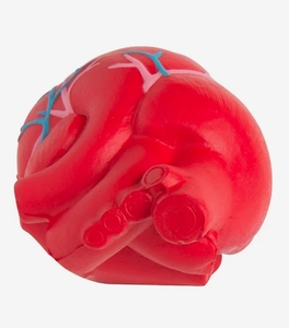 Biểu tượng tùy chỉnh Quà tặng khuyến mãi thân thiện với môi PU bọt giải phẫu trái tim hình dạng căng thẳng bóng giải phẫu trái tim hình Antistress đồ chơi - Product Image 4