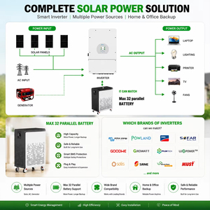 <span class=keywords><strong>Batteria</strong></span> LiFePO4 per Accumulo Energetico Domestico, 48V 100Ah 5Kwh, 300Ah 15Kwh, 16S Bluetooth BMS 51.2V 30Kwh, 48V 600Ah, Spedizione da EU, Esente IVA - Product Image 5