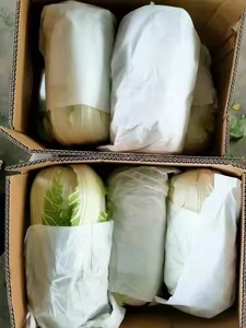 กะหล่ำปลีจีนสดออร์แกนิกสีเขียวออร์แกนิกสำหรับแช่แข็งแบบสับรูปร่างพิเศษ100% - Product Image 2