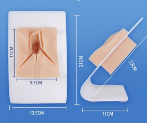 Modelo de Sutura Vaginal, Maniquí de Vulva para Práctica de Sutura, Simulador de Corte y Sutura del Perineo, Tamaño Real, Material PVC Avanzado - Product Image 4