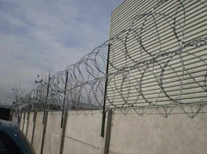 ลวดหนามเหล็กกล้าแรงดึงสูงชุบสังกะสีแบบขด BTO22 CBT60 CBT-65 สำหรับรั้วป้องกัน - Product Image 2