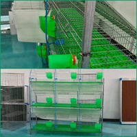 Cage à lapins galvanisée à chaud, ensemble de cages à lapins, cage à lapins à 3 niveaux, 9 trous, cage d'élevage pour lapins