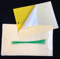 Tueurs d'insectes volants Jaune Collant Fruit Fly Pièges collants Tuer les pucerons Plaque Bâton Insecte Mouche blanche StickyPaper
