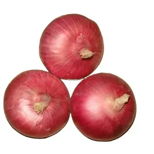 2022 new crop onions red fresh onion from fruit and vegetable company