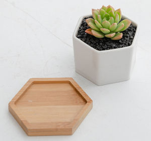 Maceta <span class=keywords><strong>de</strong></span> cerámica esmaltada <span class=keywords><strong>de</strong></span> 2,7 pulgadas con bandeja <span class=keywords><strong>de</strong></span> bambú, maceta <span class=keywords><strong>de</strong></span> <span class=keywords><strong>Cactus</strong></span> suculenta duradera ecológica <span class=keywords><strong>para</strong></span> uso doméstico al aire libre - Product Image 4