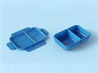 Boîte à lunch rectangulaire en plastique de 800 ml sans BPA, isolée, avec 2 compartiments étanches, qualité alimentaire, facile à transporter