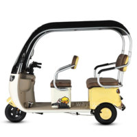 Tricycle pour passagers, tricycle à 3 roues pour adultes, vélo familial