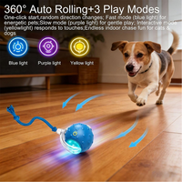 Balle interactive intelligente électrique pour chat avec son d'oiseau, auto-roulante, rechargeable, jouet interactif pour chat avec corde