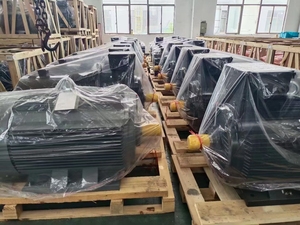 Moteur asynchrone triphasé à faible bruit <span class=keywords><strong>SALSON</strong></span> pour machines minières, efficacité IE2, montage au sol, puissance nominale 22 kW, 380 V - Product Image 6