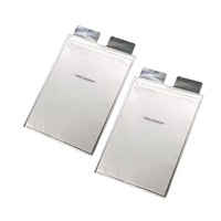 Faras Energy – batterie Lithium-Ion polymère nmc, cellule de poche 3.7v, 32ah, 50ah, 58ah, 73ah, 76ah, pour voiture Leaf EV