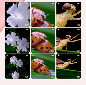 กล้องจุลทรรศน์แบบพกพาสำหรับเด็ก, อุปกรณ์เสริมพิเศษแว่นขยายสำหรับการเรียนการสอนที่บ้าน - Product Image 6