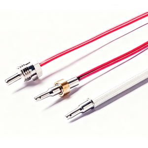 Sert Suda Uzun Ömürlü Performans İçin Korozyona Dirençli Sıcak Su Isıtıcı Sıcaklık Probu - Product Image 1