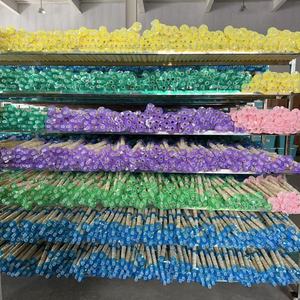 Tripas Secas de <span class=keywords><strong>Cerdo</strong></span> Aptas para Uso Alimentario Directamente de Fábrica para Exportación, Tripas Naturales Secas para Salchichas y Embutidos, Marca Shengxin en Caja - Product Image 3