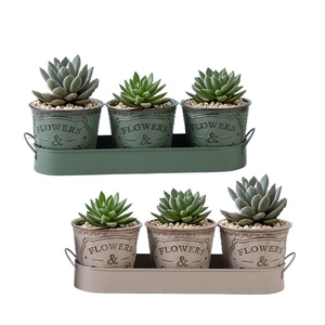 Bộ <span class=keywords><strong>3</strong></span> Thảo Mộc Chậu Với Khay Phong Cách Mộc Mạc Kim Loại Mọng Nước Đa Chức Năng Chậu Hoa Cho Nhà Trang Trí Văn Phòng Vườn Lưu Trữ - Product Image 2