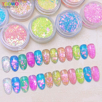 Kit réfléchissant de poudre d'ongle de flocons d'opale de caméléon