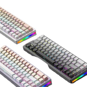 Clavier mécanique Skyloong M67, 67 touches, rétroéclairage RVB, clavier de jeu à trois modes, programmable, montage Gasket, échange à chaud - Product Image 1