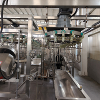 Machine d'abattage automatique de volailles, ligne de traitement de poulet en acier inoxydable, 380V, 800 BPH, équipement d'usine