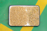 Machine de tri chromatique CCD pour pois chiches et haricots, machine de traitement des grains avec le meilleur prix pour le tri des pois chiches