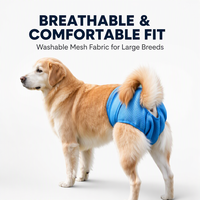 Culotte absorbante réutilisable pour chienne, respirante en maille, super absorbante, avec trou pour la queue, ajustable pour toutes les tailles