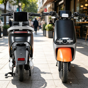 Motocicletta Elettrica CKD SKD 10 Pollici, Colore Personalizzabile, <span class=keywords><strong>600</strong></span>/800W, Velocità 50km/h, Moto Elettrica a 2 Ruote per <span class=keywords><strong>Sport</strong></span> all'Aperto - Product Image 1