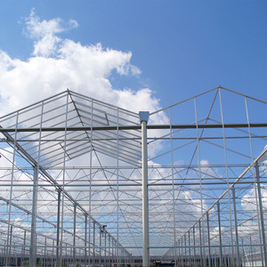 Invernadero Agrícola Multi-Span de Skyplant, Estructura Tipo Venlo con Gran Cubierta de Vidrio - Product Image 5