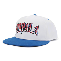 Topi Snapback Bordir Logo Kustom Grosir, Model Vintage Mewah, Pinggiran Datar, 6 Panel, Bahan Twill, untuk Pria, Topi Baseball Sporty Modis