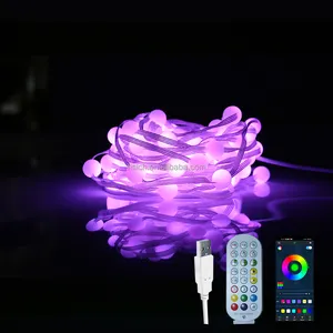 Outdoor Smart Home Christmas Strip Lights Voice Remote Switch Control Smart Luces Exteriores