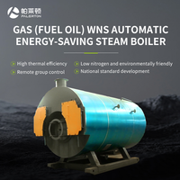 Chaudière à eau chaude horizontale à économie d'énergie Palerton WNS personnalisée, 2 tonnes/h, à gaz, usage industriel, acier inoxydable, longue durée de vie