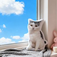 Coussin décoratif personnalisé en forme d'animal, avec logo imprimé, coussin en forme de chat, coussin d'anime pour canapé, textile de maison