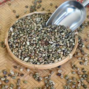 Haricots Café Vert Vietnam Robusta A Plus 95 À 99% Pureté 60kg Jute PP Sacs En Vrac Ingrédient Non Supplémentaire - Product Image 5