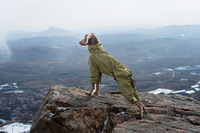 PETBUCK Manteau de Pluie Textile Classique Moderne Style Ferme pour Chien, Imperméable Toutes Saisons, Couleur Unie, Chaud et Confortable, Équipement Actif