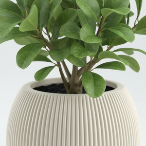 <span class=keywords><strong>Olivier</strong></span> artificiel <span class=keywords><strong>en</strong></span> <span class=keywords><strong>pot</strong></span> avec fruits réalistes - Plante d'intérieur éco-responsable et persistante <span class=keywords><strong>pour</strong></span> la Journée de la <span class=keywords><strong>Terre</strong></span> et les décorations du Nouvel An chinois - Product Image 6