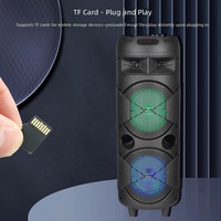 Altoparlante Surround Ricaricabile Personalizzato 20W, Doppio Woofer da 8 Pollici con Magnete da 60mm, Batteria da 2400mAh, 2 Microfoni Wireless, FM, USB, TF, TWS