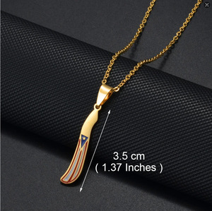Collar de Acero Inoxidable Chapado en Oro con Mapa de Puerto Rico, Bandera, Coquí, Rana e Hibisco, Colgante para Mujer y Hombre, Joyería de Moda - Product Image 4