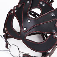 Lumi FC04 Jouets sexuels étanches pour couples, accessoires SM, masque de renard, bâillon buccal, dispositifs de bondage, dispositif de tortion, bandeau pour les yeux, plaisir