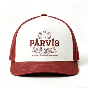 Gorra de Béisbol Bordada Personalizada, Estilo Hip Hop, Talla Ajustable, Gorras de Alta Calidad de Marca - Product Image 1