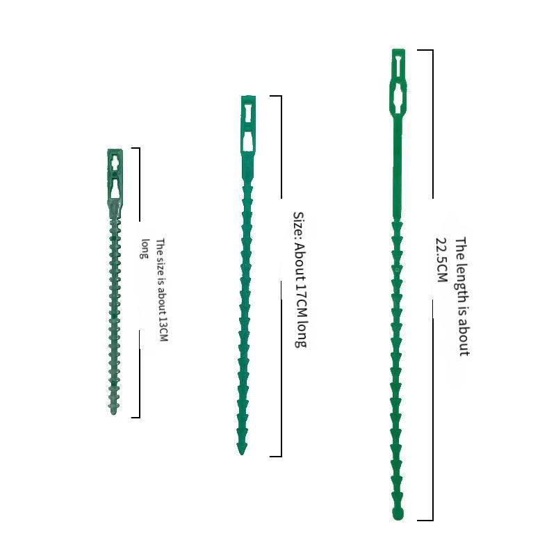 13ซม. 50ชิ้น