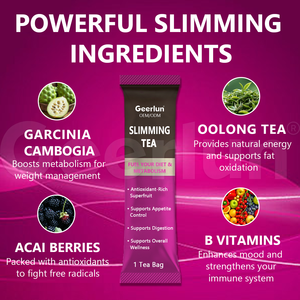 Extrait de Garcinia Cambogia biologique de haute qualité, complément alimentaire <span class=keywords><strong>pour</strong></span> la perte de poids, soutien au métabolisme, sachets de thé détox - Product Image 4