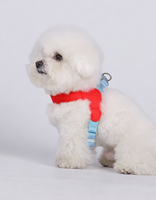 Nouveau Harnais Poitrail Rembourré de Luxe pour Chien, Motif Dessin Animé, Respirant en Polyester, avec Laisse pour Chiens de Taille Moyenne et Petite